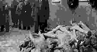 Alben W. Barkley, a member of a U.S. congressional committee investigating Nazi atrocities, looking at a pile of corpses at Buchenwald concentration camp, near Weimar, Germany, April 24, 1945.