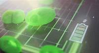 Harnessing the power of algae: new, greener fuel cells move step closer to reality