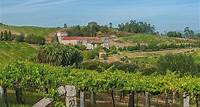Albariño Trail Private Wine Tour / Shore Excursion au départ de Vigo