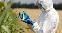 GMO Dangers: Facts You Need to Know - Center for Nutrition Studies