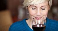 Wein erleben – Tipps für Genießer