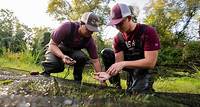 Texas A&M AgriLife