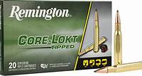 Remington Core-Lokt Tipped .30-06 Springfield 180 grs Büchsenpatronen