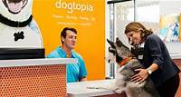 Own a Dog Daycare Franchise | Dogtopia Franchise