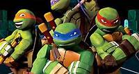 Teenage Mutant Ninja Turtles: Ninja Training