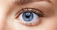 Photoreceptors (Rods and Cones) - Eye Anatomy
