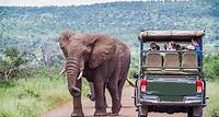 Ganztägige exquisite Pilanesberg-Safari ab Johannesburg