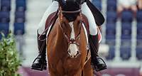 Cavalo é sacrificado depois de sofrer lesão nas Olimpíadas de Tóquio