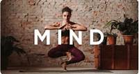Mind, Body and Spirit Courses – Next Level Soul