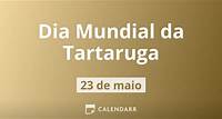 Dia Mundial da Tartaruga | 23 de Maio - Calendarr