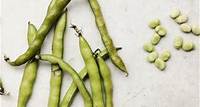 7 Delicious Ways to Use Spring Fava Beans
