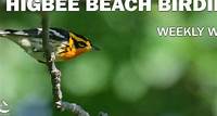 Higbee Beach Birding – May 24, 2024