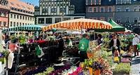 Blumenmarkt Der Blumenmarkt am 26. Mai ist für viele Weimarer Gelegenheit, mit den Fachleuten ins Gespräch zu kommen und ihren Balkon oder ihren Garten aufblühen zu lassen.