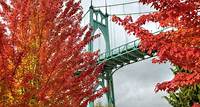 Bridges of Portland | The Official Guide to Portland