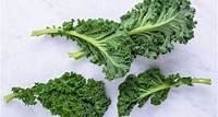 Kale Nutrition Facts and Health Benefits