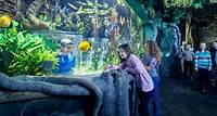 Aquarium Adventure | Wonders of Wildlife National Museum & Aquarium