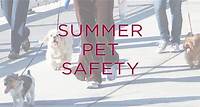 When Temperatures Rise, The Walkway May Be Unsafe For Your Pets