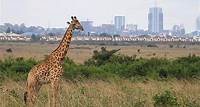 Nairobi-Nationalpark, Giraffenzentrum, Elefanten- und Blixenmuseum