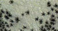 Spiders From Mars? Phenomenon Evokes David Bowie Song in These Photos Taken Near South Pole of Red Planet