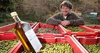 En Provence, la flambée du prix du litre d'huile d’olive n'a pas que des mauvais côtés