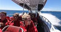 Rottnest Island und Abenteuer-Motorboot-Tour ab Perth oder Fremantle