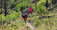 Jemez Mountain Trail Run