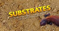 Substrates - Exo Terra