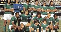 Esquadrão Imortal – Palmeiras 1972-1974 - Imortais do Futebol