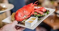 Find Authentic Maine Lobster. As Fresh as It Gets. - Visit Maine