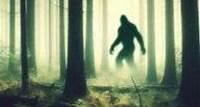 Filmmaker claims that Bigfoot may feast on the blood of wild animals