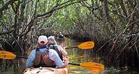 Manatees and Mangrove Tunnels Small Group Kayak Tour
