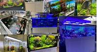 Nos aquariums exposés en magasin
