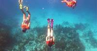Key Largo Two Reef Snorkel Tour - Tout l'équipement de plongée inclus!
