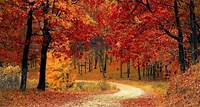FALL When is the First Day of Fall? Autumnal Equinox 2024