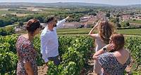 Matinée producteurs de Champagne depuis Reims (en anglais)
