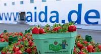 Kussmund trifft Erdbeere – AIDA Cruises und Karls starten süße Kooperation