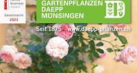 Daepp’s Rosen Festival in Münsingen