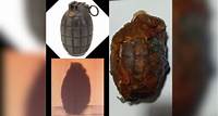 Bope identifica granada encontrada no Recife (PE); artefato é de tipo usado pelo Exército Britânico