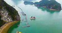 Ha Long Bay Cruise Day Tour - Bestseller: Kajakfahren, Schwimmen, Wandern und Mittagessen