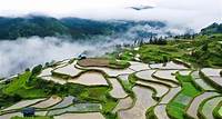 Ein Blick auf schöne Terrassen in Guizhou