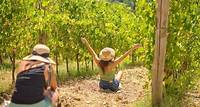 Florença para a região vinícola de Chianti com 2 degustações de vinho e fuga de vinhedos