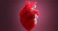 Yale study reveals insights into post-vaccine heart inflammation cases
