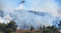 Waldbrände in Griechenland 2024: Die aktuelle Lage