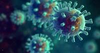 Anticiper les pandémies: les espoirs déçus