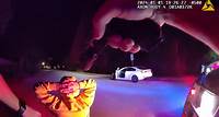 Florida Cops Hold Man and Daughter at Gunpoint During Traffic Stop After Mistaking Their Car for Stolen
