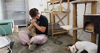 Already burnt out, some cat rescuers mull quitting after spike in abandonment cases, uncertainty over new regulations