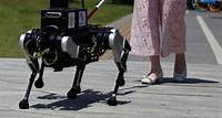 Chinese researchers test robot ‘guide dogs’ to help the visually impaired