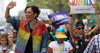 Top San Francisco Democrats say Kamala Harris has ‘most viable path’ to win election