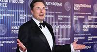 Elon Musk, der geschworen hat, „kein Haus zu besitzen“, soll überlegen, ein luxuriöses Tiny House zu kaufen