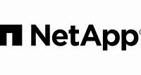 NetApp and Evercore ISI Institutional Equities to Host a Tech Talk on NetApp’s AI Strategy and Direction